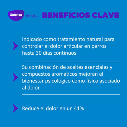 Collar Yoos para Dolor Articular y Movilidad
