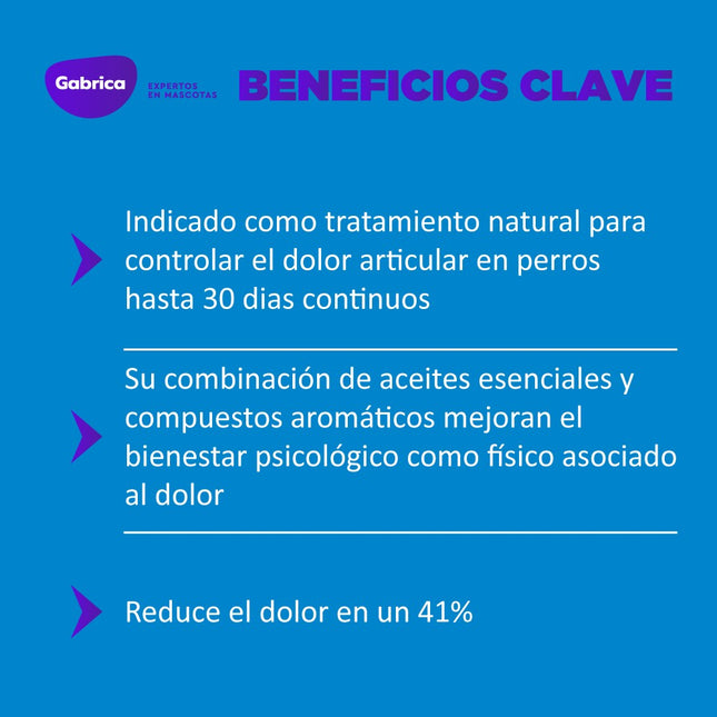 Collar Yoos para Dolor Articular y Movilidad