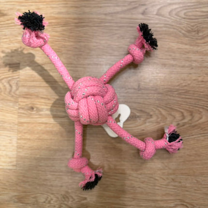 Pelota 4 Cuerdas