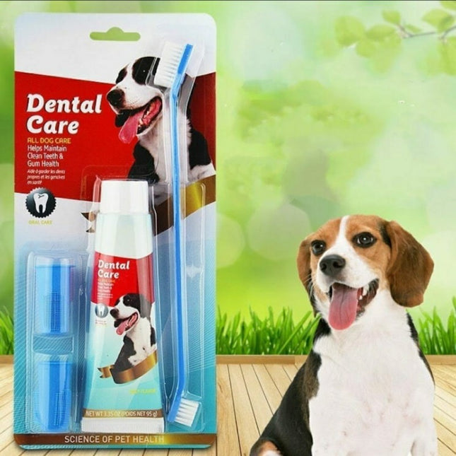 Kit Dental Estandar