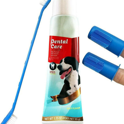 Kit Dental Estandar