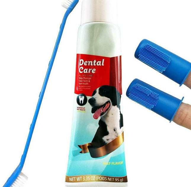 Kit Dental Estandar