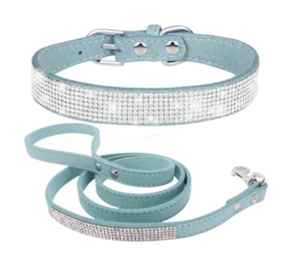 Collar y Trailla Fashionable