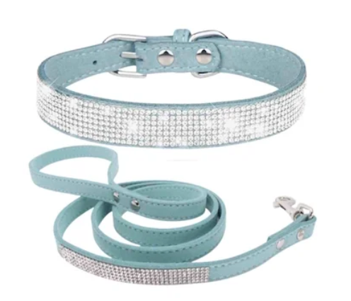 Collar y Trailla Fashionable