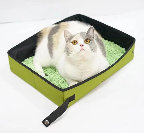 Arenera Portable - Portátil