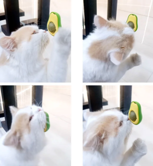 Bola de Catnip Diseño Aguacate, Hierba Gatuna