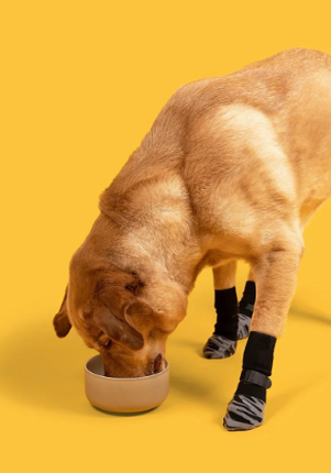 Calcetines para Mascotas Antideslizantes
