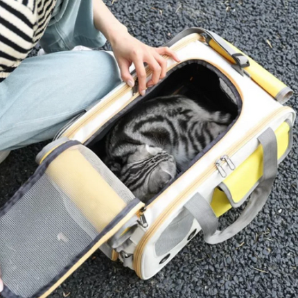 Bolso Plegable Lona