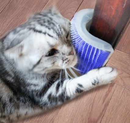 Rascador Esquinero Gato
