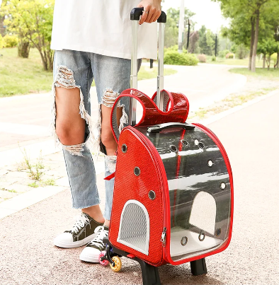 Morral Transparente Sirena con Rueda