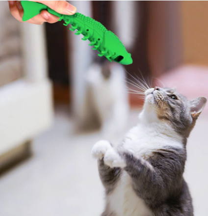 Limpiadientes con Catnip, Hierba Gatuna