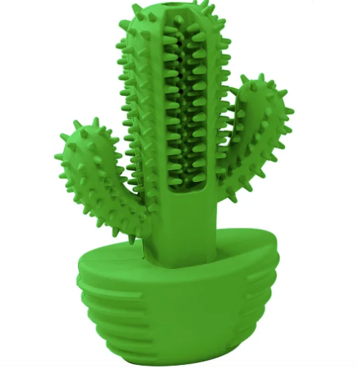 Limpiadientes Premium Cactus