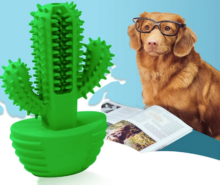 Limpiadientes Premium Cactus