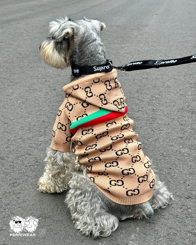 Saco Premium Gucci Clasico