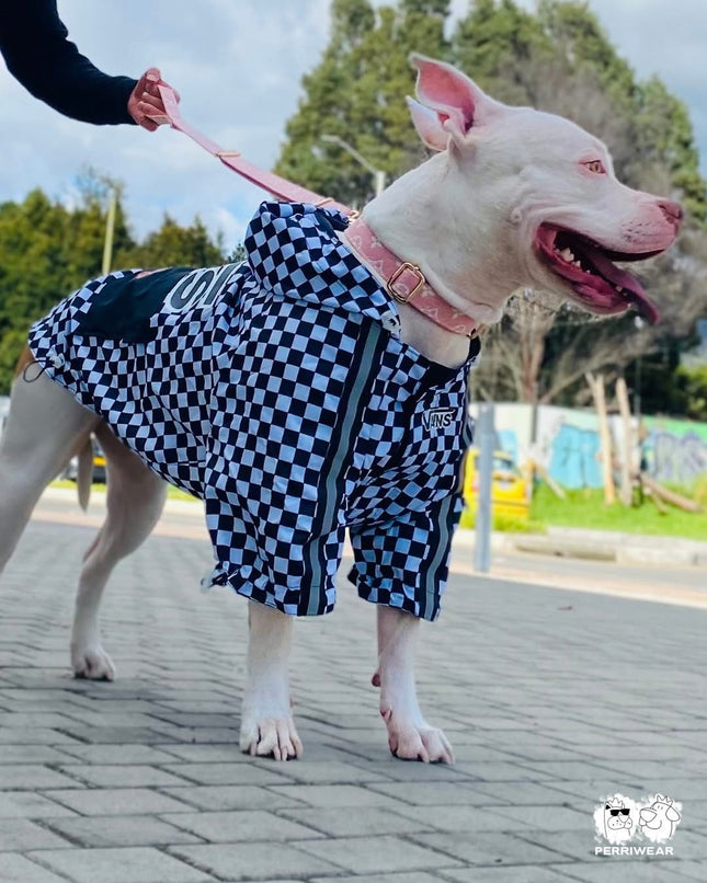 Chaqueta Vans