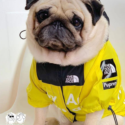 Chaqueta The Dog Face