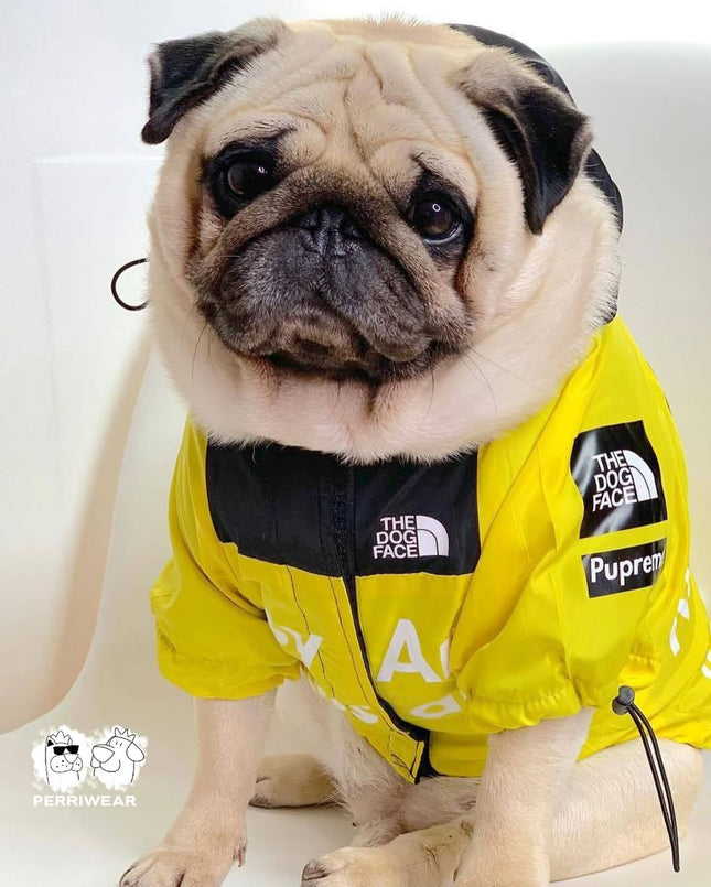 Chaqueta The Dog Face