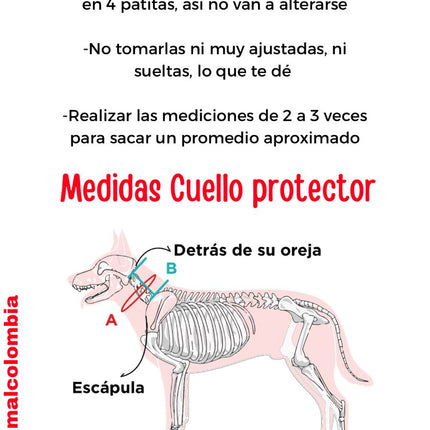 Cuello Protector para Lesiones Cervicales