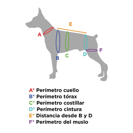 Arnes Integral de Movilidad