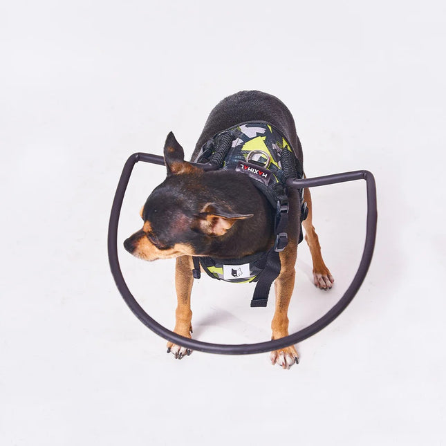 Arnes Funcional Para Perros Ciegos