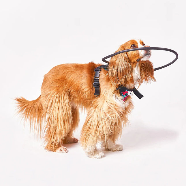 Arnes Funcional Para Perros Ciegos