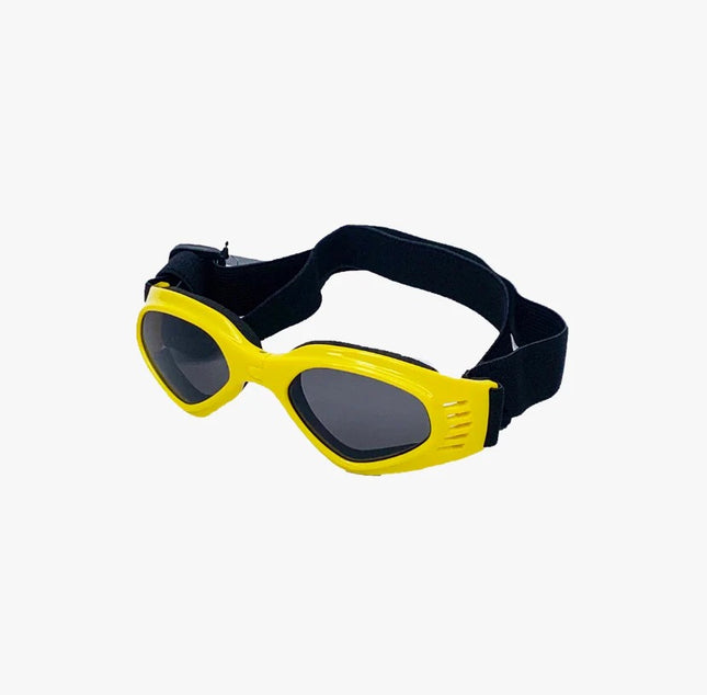 Gafas Multicolor