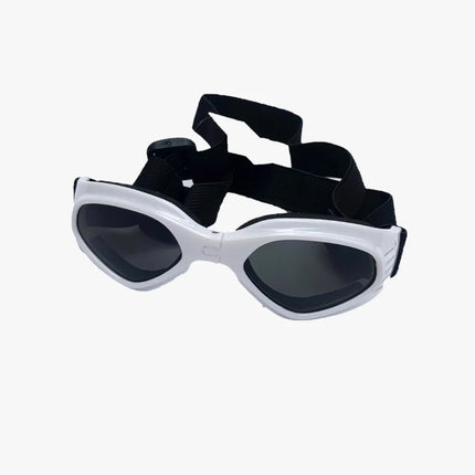 Gafas Multicolor