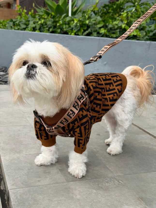 Arnes Fendi