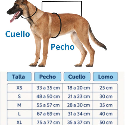 Faja Postquirurgica Macho