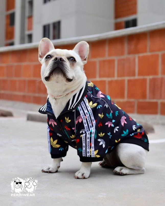 Chaqueta Adidas