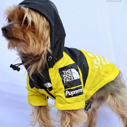 Chaqueta The Dog Face