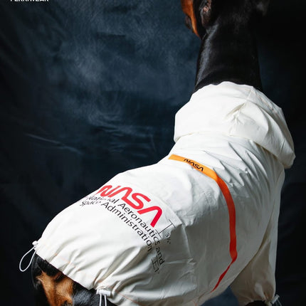 Chaqueta NASA