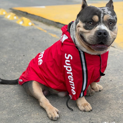 Chaqueta Supreme