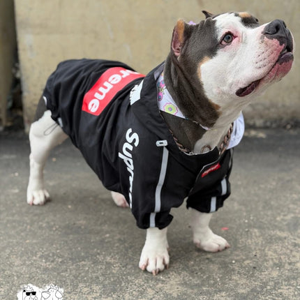 Chaqueta Supreme