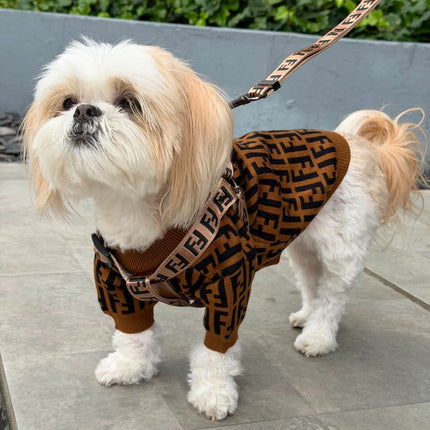 Arnes Fendi