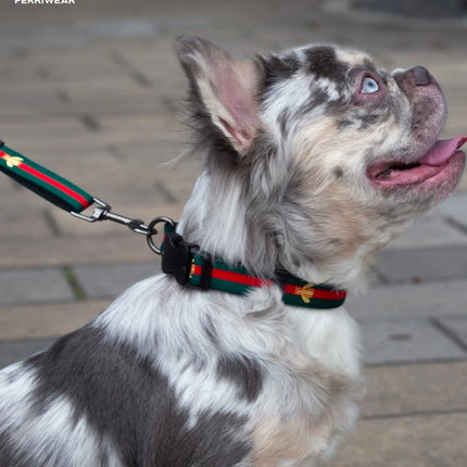 Collar Gucci