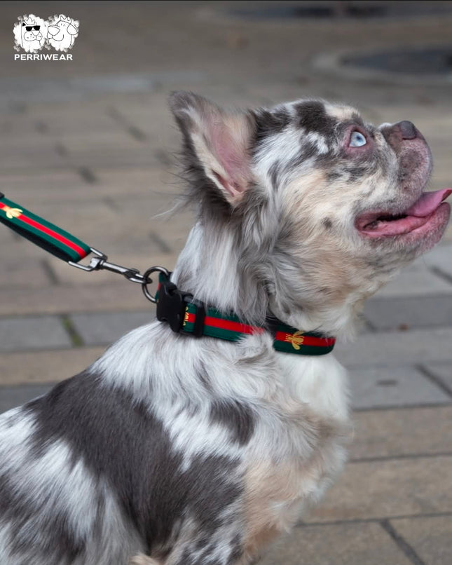 Collar Gucci