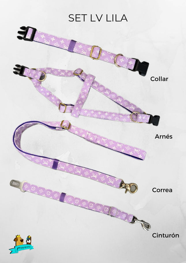 Correa Louis Vuitton