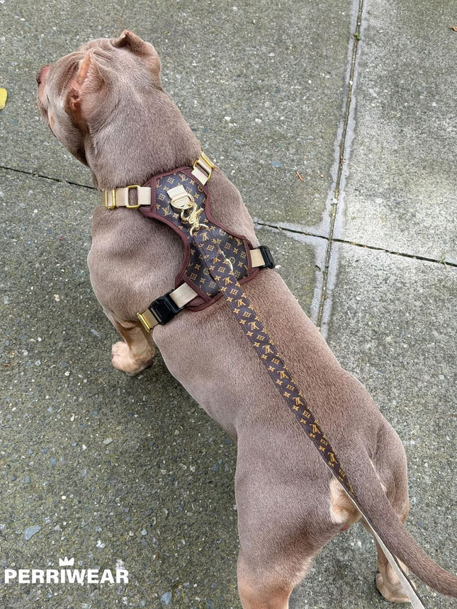 Pechera Luxe Louis Vuitton