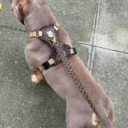 Pechera Luxe Louis Vuitton