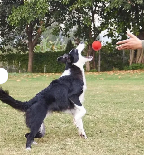 Pelota Maciza Grande