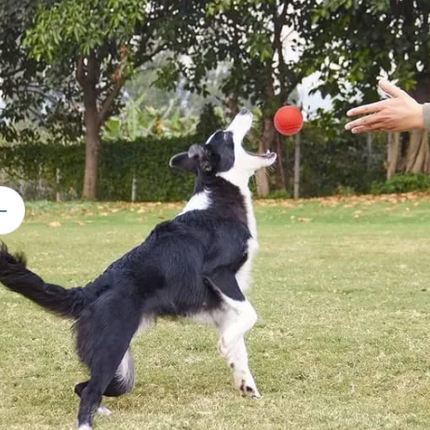 Pelota Maciza Mediana