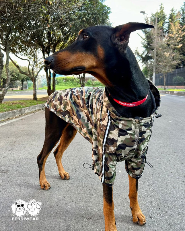 Chaqueta Camuflada