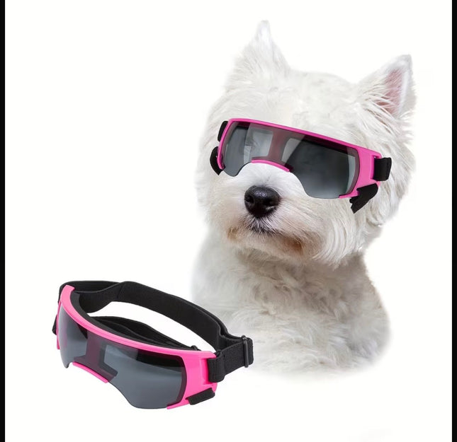 Gafas Filtro UV Lente Unido