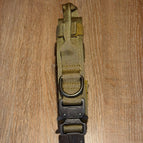 M / Camel
