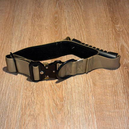 Collar de Seguridad