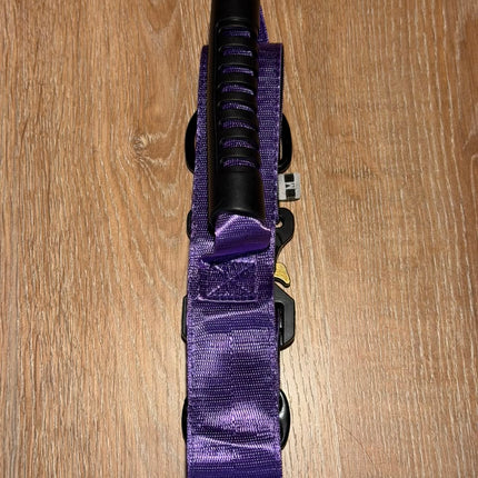 Collar de Seguridad