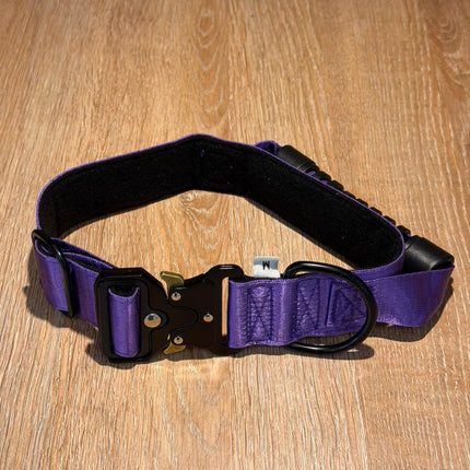 Collar de Seguridad
