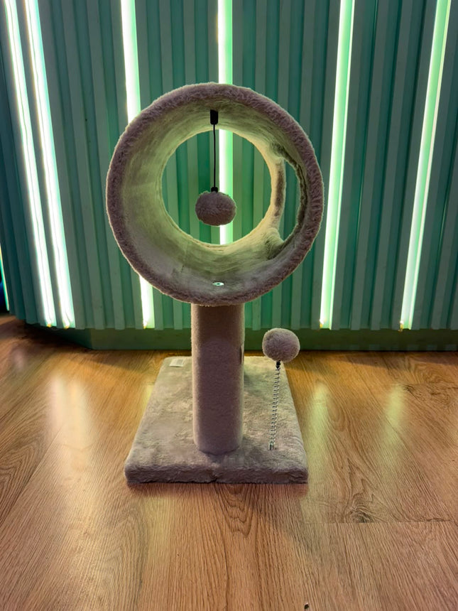 Gimnasio Cápsula