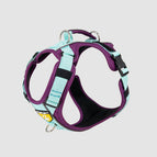 Barny Menta / XS